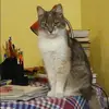 Отзыв от Эльвира Сазонова